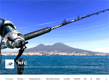 Tablet Screenshot of napolifishingcharter.com